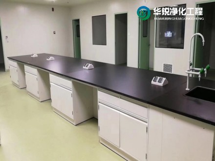 主實驗室與輔助實驗室的主要區別